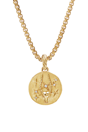 Capricorn Zodiac Amulet